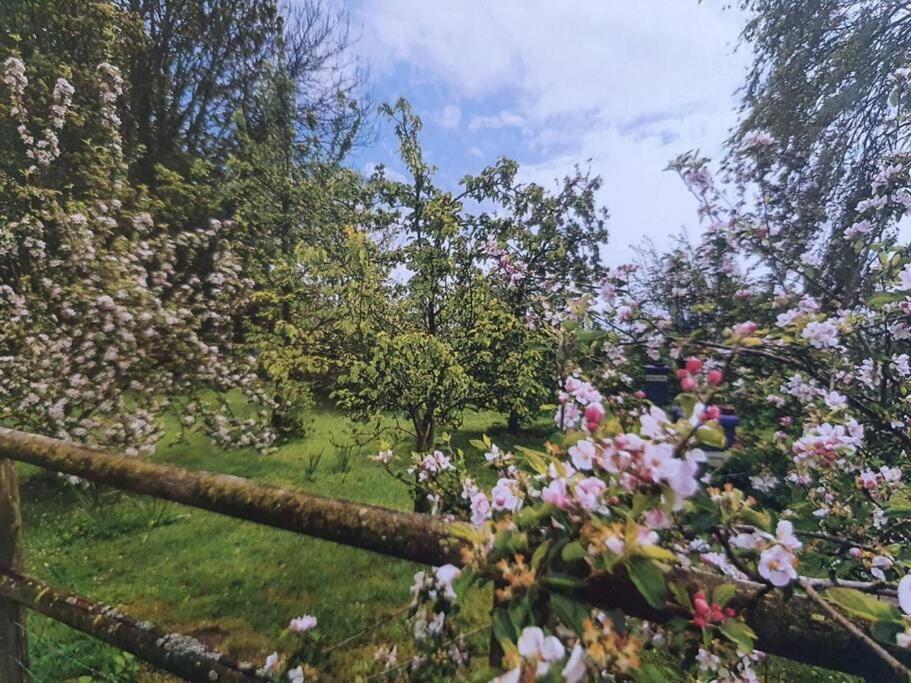Nature Charm & Fruit Delights, Multi-Generation Celebratory Home -Try, Relax, Repeat - Sellindge Ashford (Kent) Exterior foto
