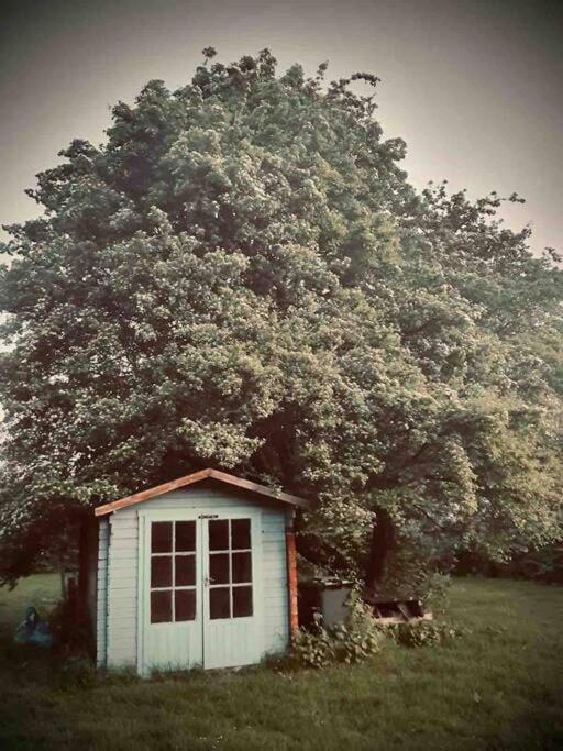 Nature Charm & Fruit Delights, Multi-Generation Celebratory Home -Try, Relax, Repeat - Sellindge Ashford (Kent) Exterior foto