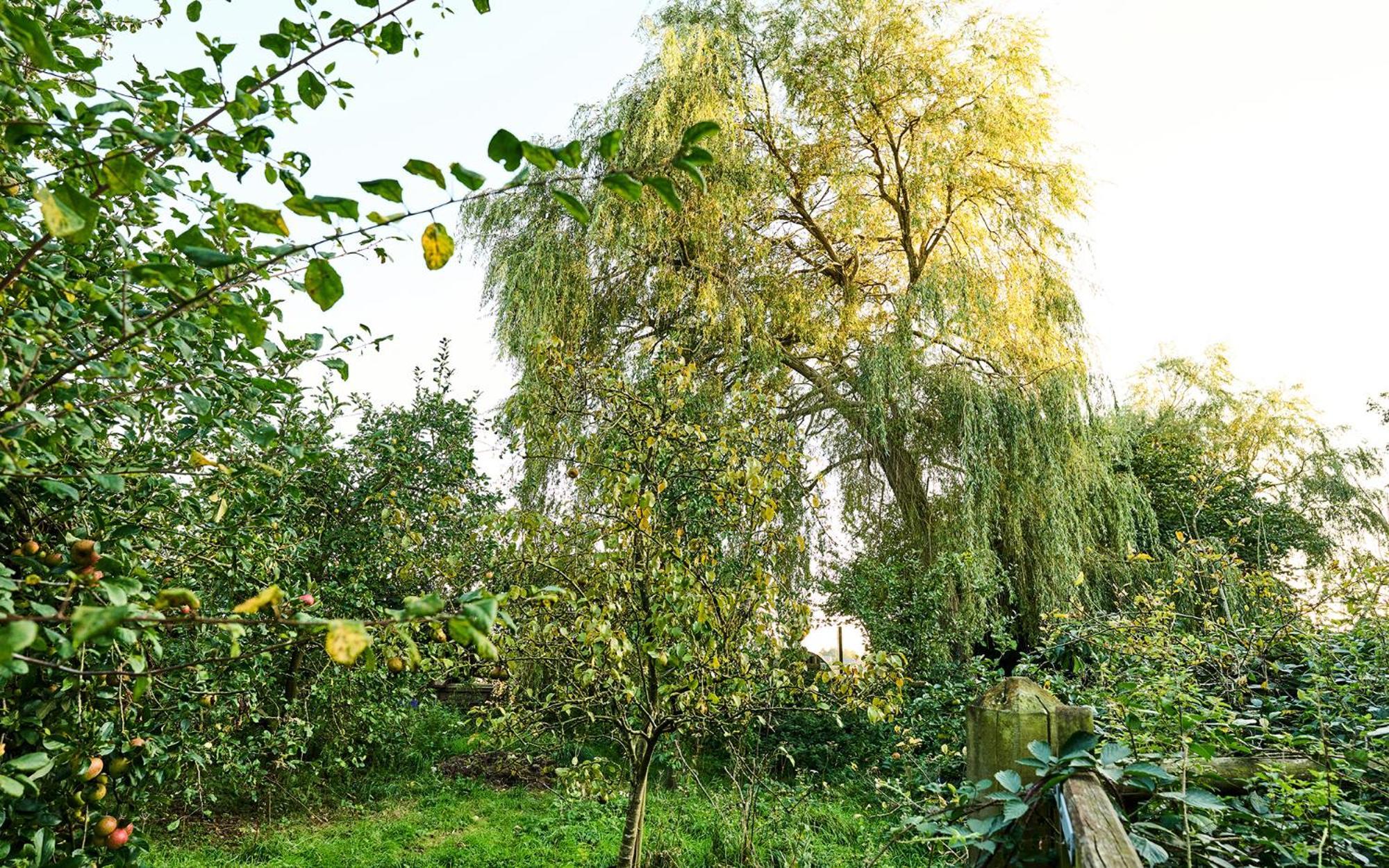 Nature Charm & Fruit Delights, Multi-Generation Celebratory Home -Try, Relax, Repeat - Sellindge Ashford (Kent) Exterior foto